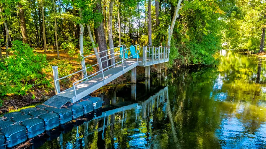 141 Meredith Drive, Eutawville, SC 29048 - #3