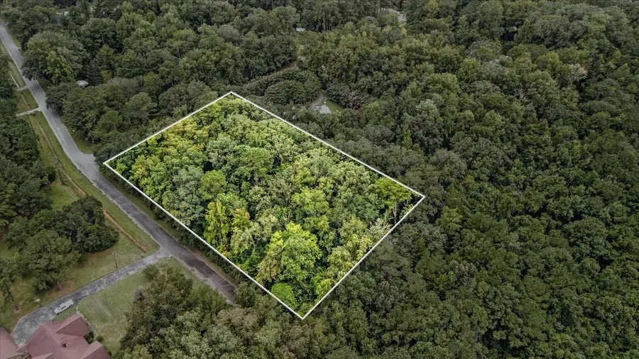 100 Wilton Drive, Summerville, SC 29483 - Image #3