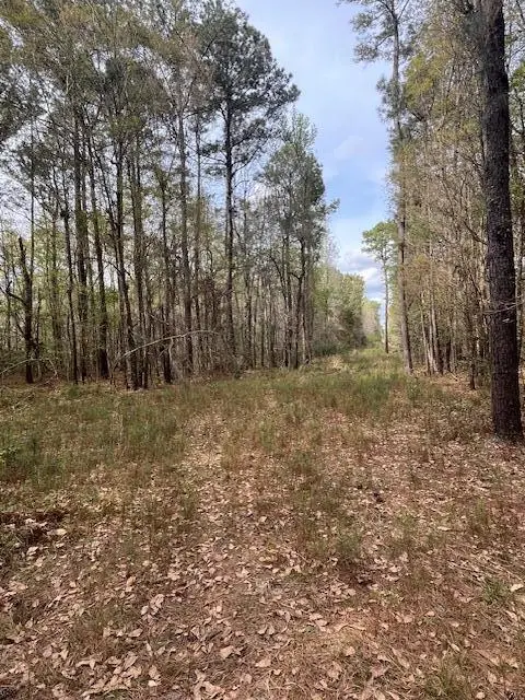 0 Palm Street, Reevesville, SC 29471 - Image #2