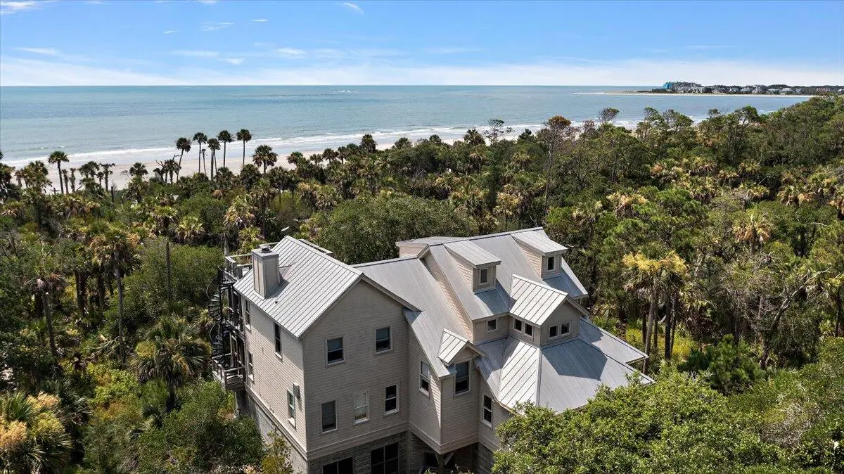 311 Pelican Flight Drive, Dewees Island, SC 29451 - #1