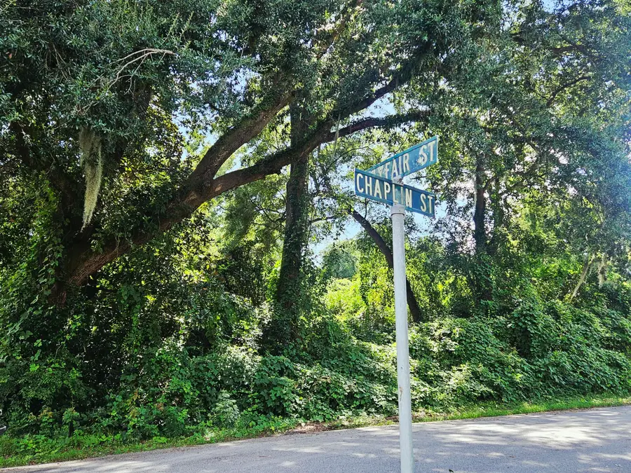 0 Chaplin Street, Walterboro, SC 29488 - #2