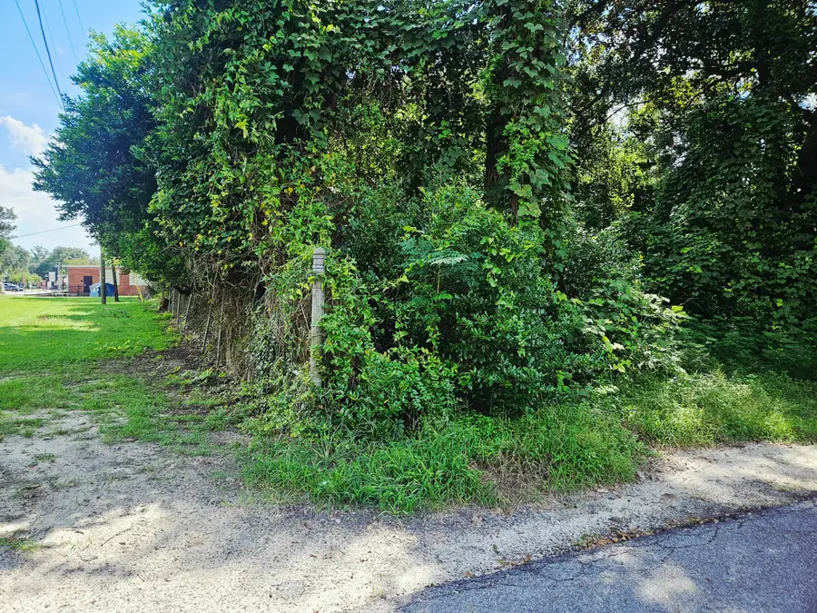 0 Chaplin Street, Walterboro, SC 29488 - #3