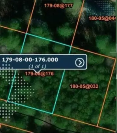 89 Toya Street, Walterboro, SC 29488 - #1