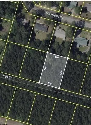 141 Toya Street, Walterboro, SC 29488 - #1