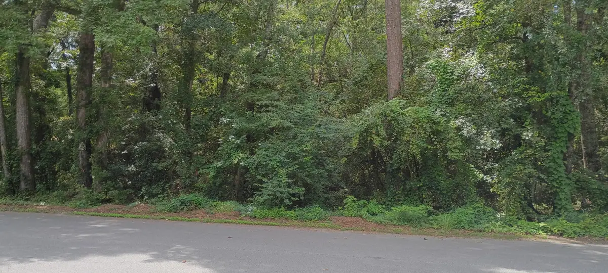 0 Oak Drive, Summerville, SC 29485 - Image #1