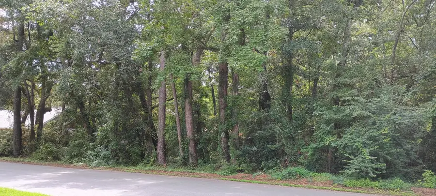 0 Oak Drive, Summerville, SC 29485 - Image #3