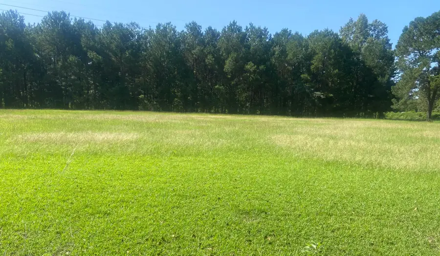 00 Spring Plains Rd, Cross, SC 29436 - Image #2