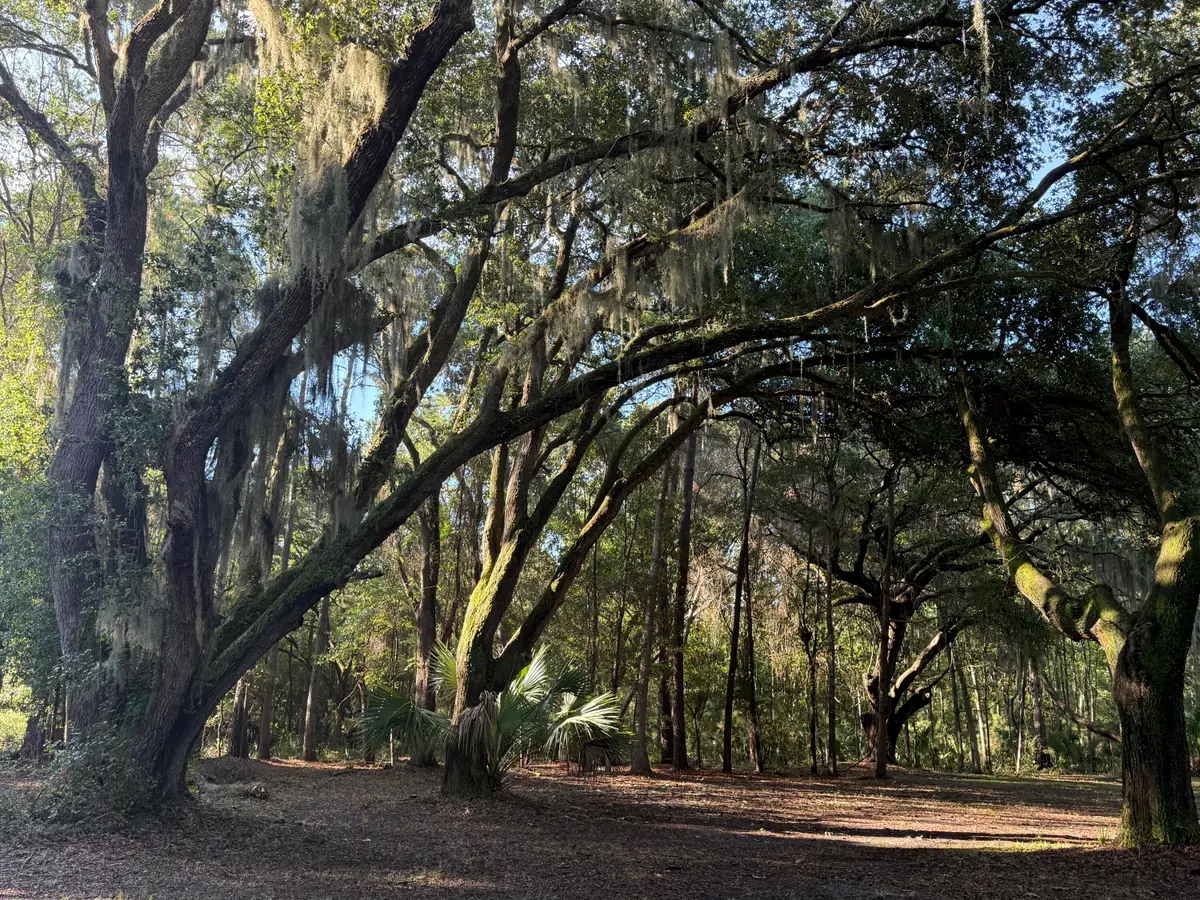 7939 Legare Road, Edisto Island, SC 29438 - Image #1