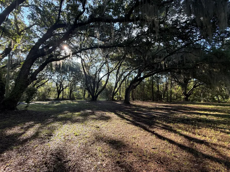 7939 Legare Road, Edisto Island, SC 29438 - Image #2