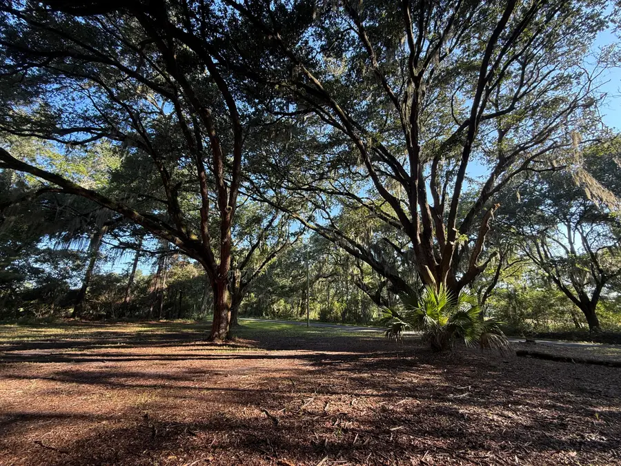 7939 Legare Road, Edisto Island, SC 29438 - Image #3