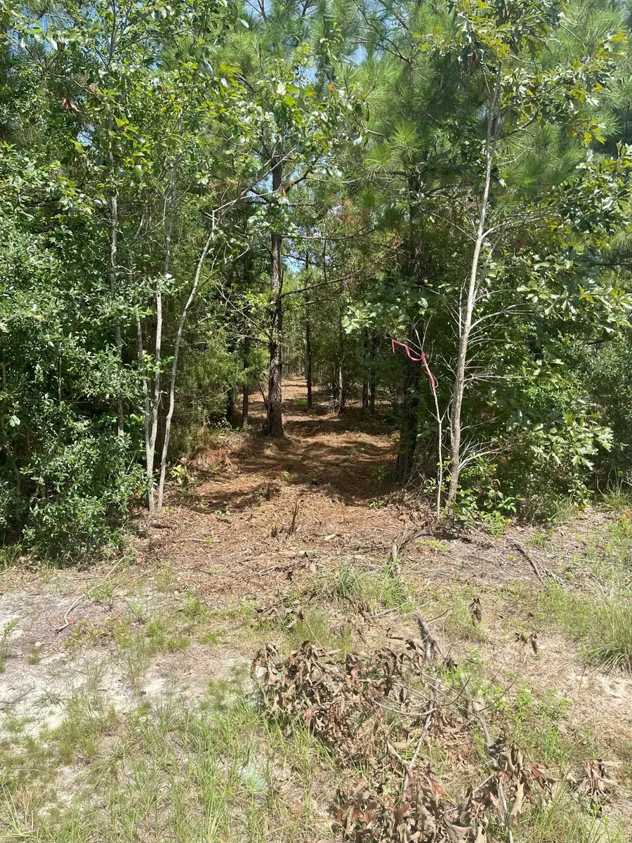 Ppf 5 Payne Pond Road #Ppf 5, Westville, SC 29175 - Image #2