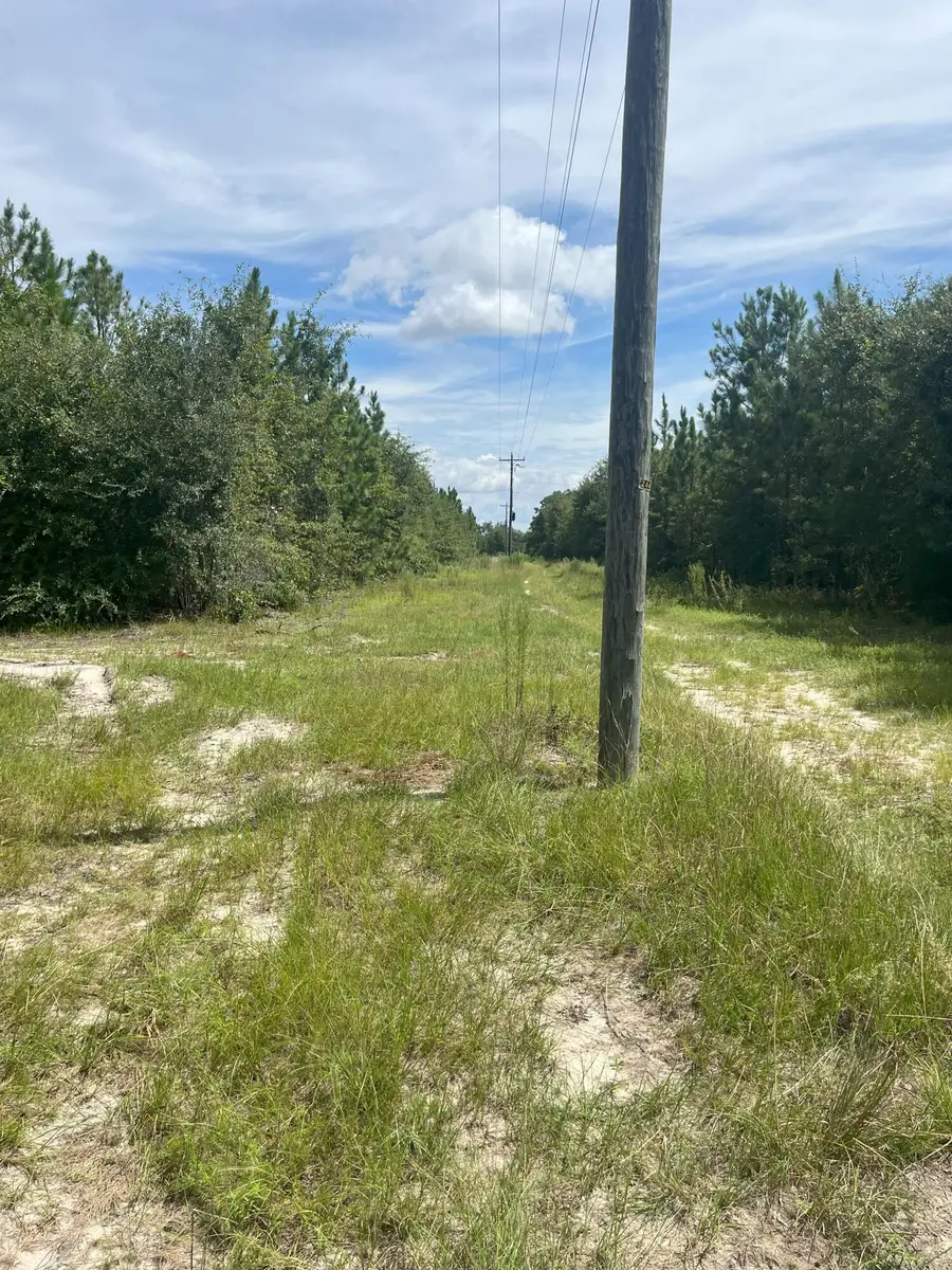 Ppf 5 Payne Pond Road #Ppf 5, Westville, SC 29175 - Image #3