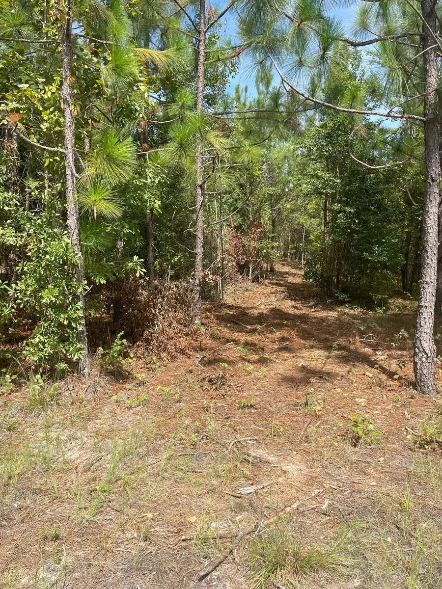 Ppf 8 Payne Pond Road #Ppf 8, Westville, SC 29175 - Image #3