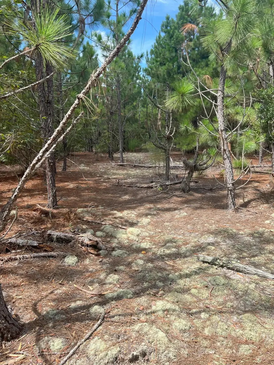 Ppf 9 Payne Pond Road #Ppf 9, Westville, SC 29175 - Image #3