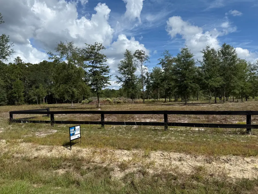 Lot 10-4 Marion Road, Dorchester, SC 29437 - Image #3