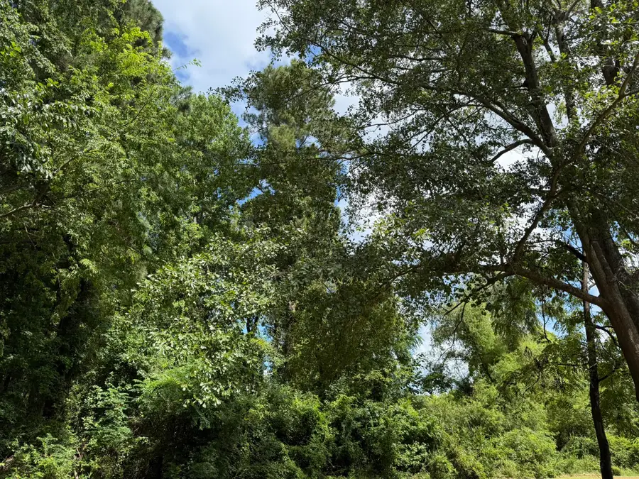 0 Off North Road, Orangeburg, SC 29118 - #2