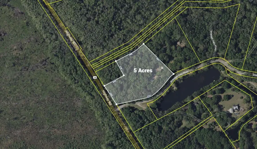 6370 Shilelagh Oaks Parkway, Ravenel, SC 29470 - Image #2