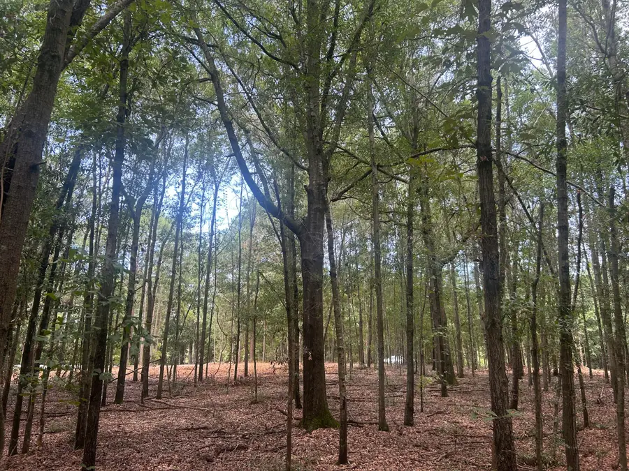 2 Francis Marion Boulevard, Summerton, SC 29148 - #2