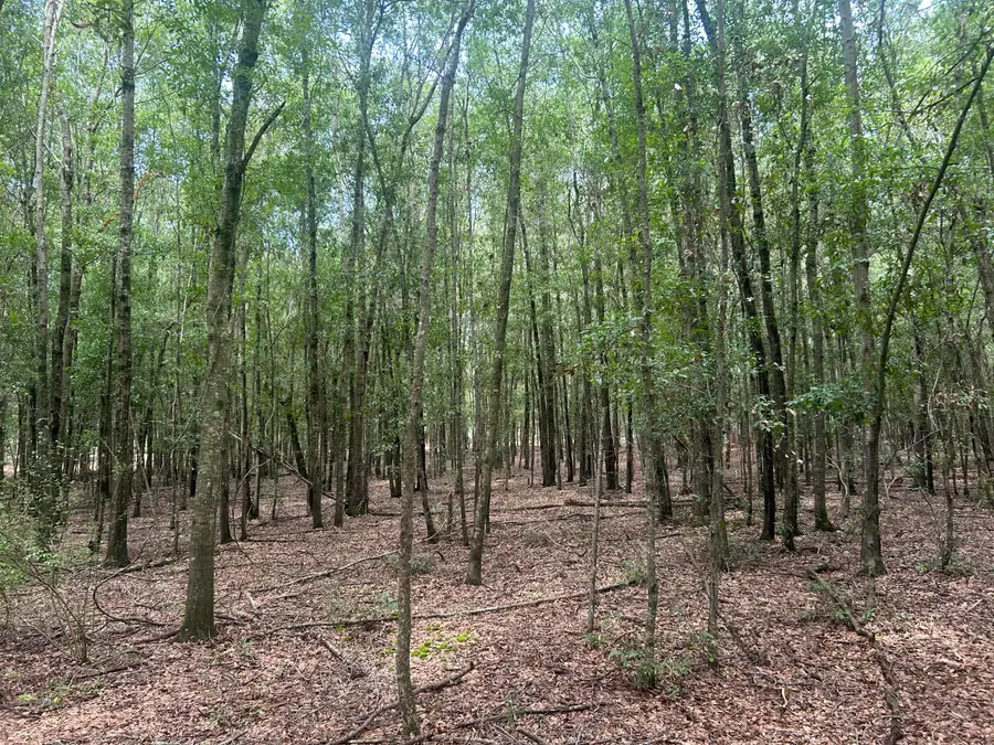 2 Francis Marion Boulevard, Summerton, SC 29148 - #3