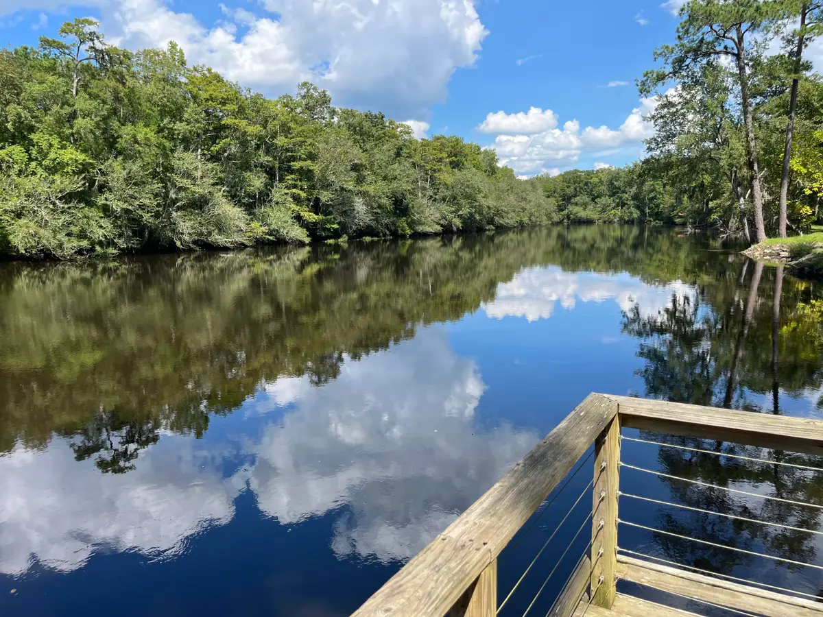 269 Out Water Lane, Branchville, SC 29432 - Image #1