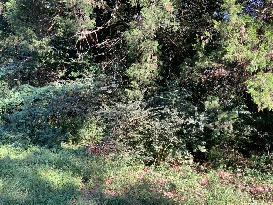 123 Dawsey Street, Cordova, SC 29039 - #3