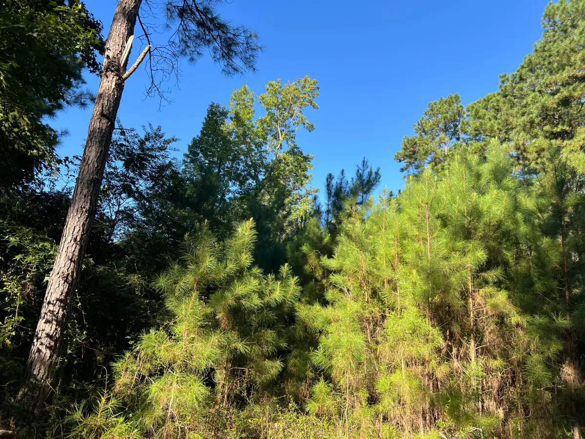 1060 Quail Path, Santee, SC 29142 - Image #1