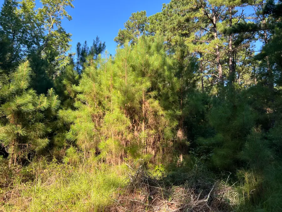 1060 Quail Path, Santee, SC 29142 - Image #2