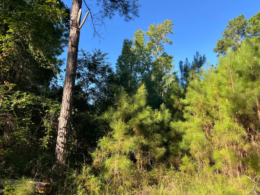 1060 Quail Path, Santee, SC 29142 - Image #3