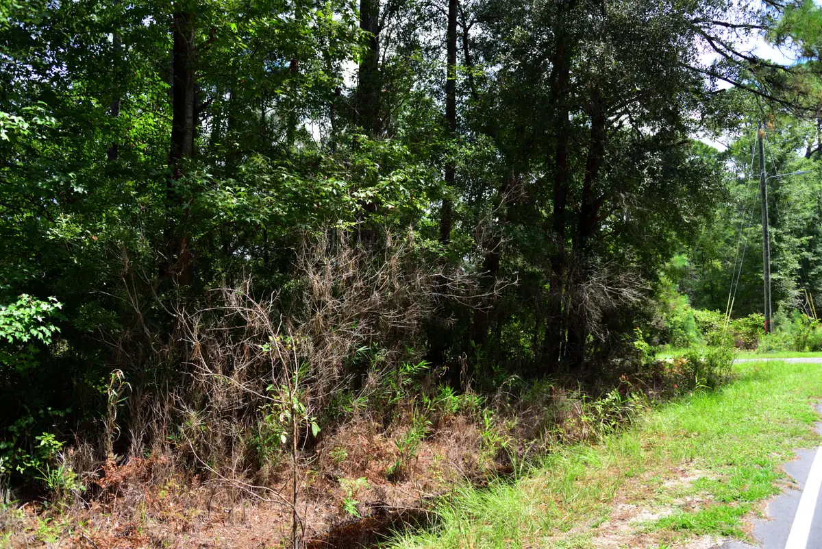 0 Cherry Hill Road, Hollywood, SC 29449 - Image #1