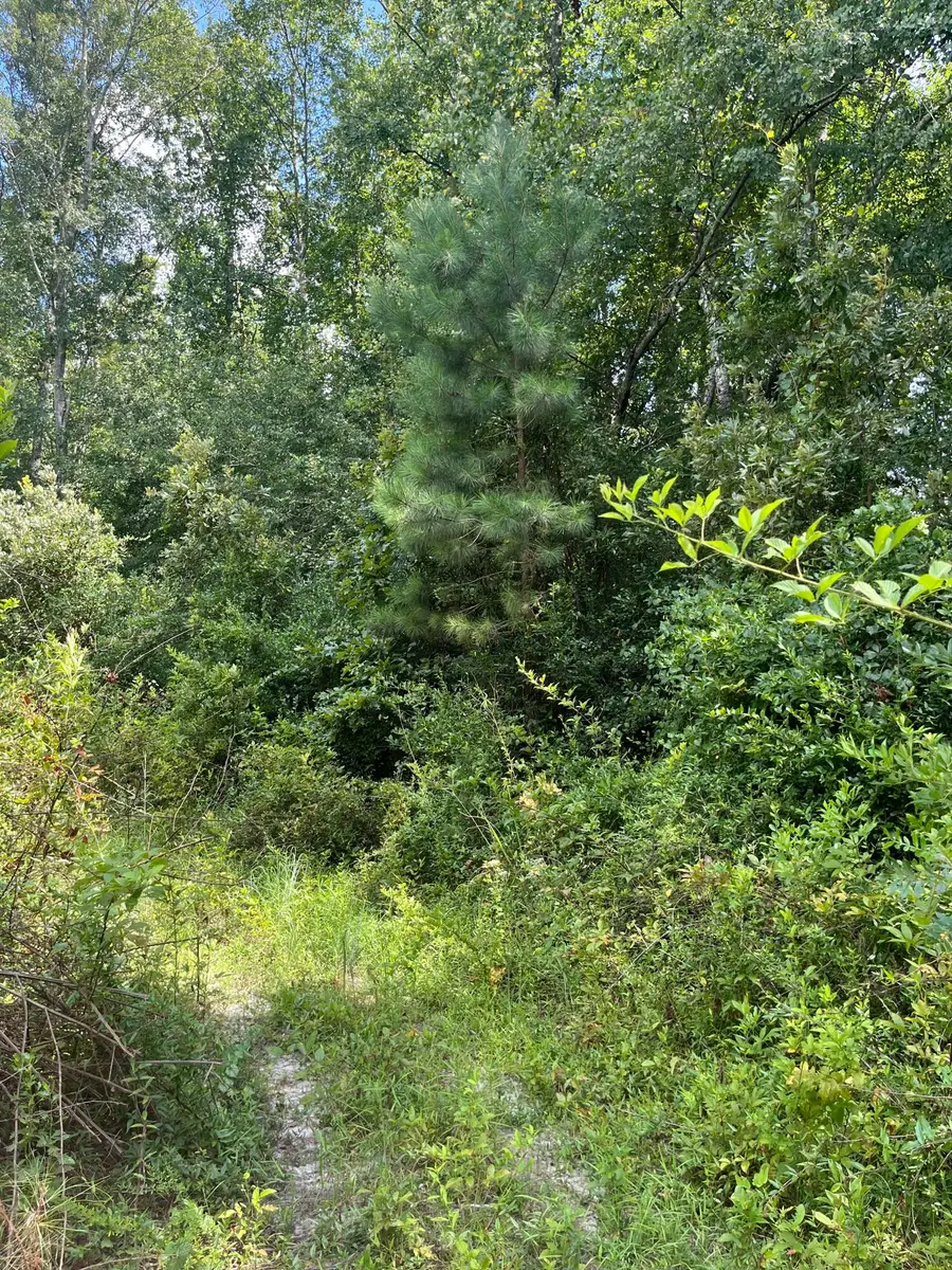 Bff 3b Brunson Teal Road #Bff 3b, Kershaw, SC 29584 - Image #2