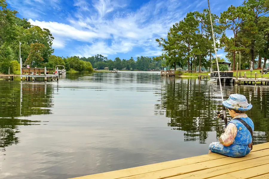 1390 Nightfall Lane, Summerton, SC 29148 - #3