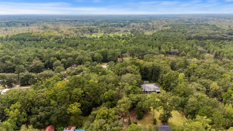 00 Jupiter Hill Road, Adams Run, SC 29426 - Image #3