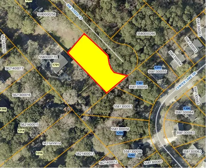 1311 Joe Steed Court, Mount Pleasant, SC 29464 - #1