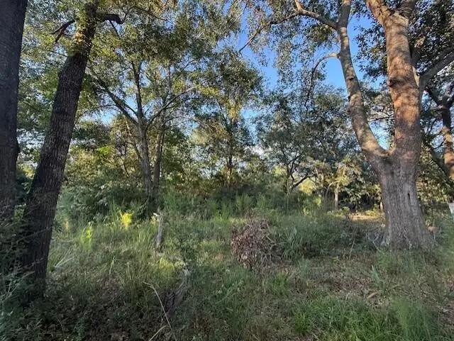 0 Pine Grove Road, Beaufort, SC 29906 - #1