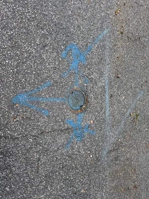 21 Tombee Road, Saint Helena Island, SC 29920 - #2