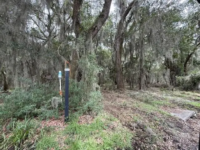 21 Tombee Road, Saint Helena Island, SC 29920 - #3