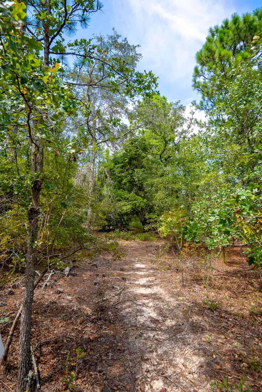 Address Withheld By Seller, Aiken, SC 29803 - Image #3