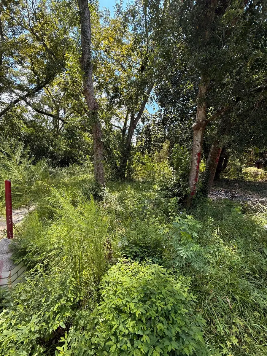 0 Cotton Street, Denmark, SC 29042 - #2