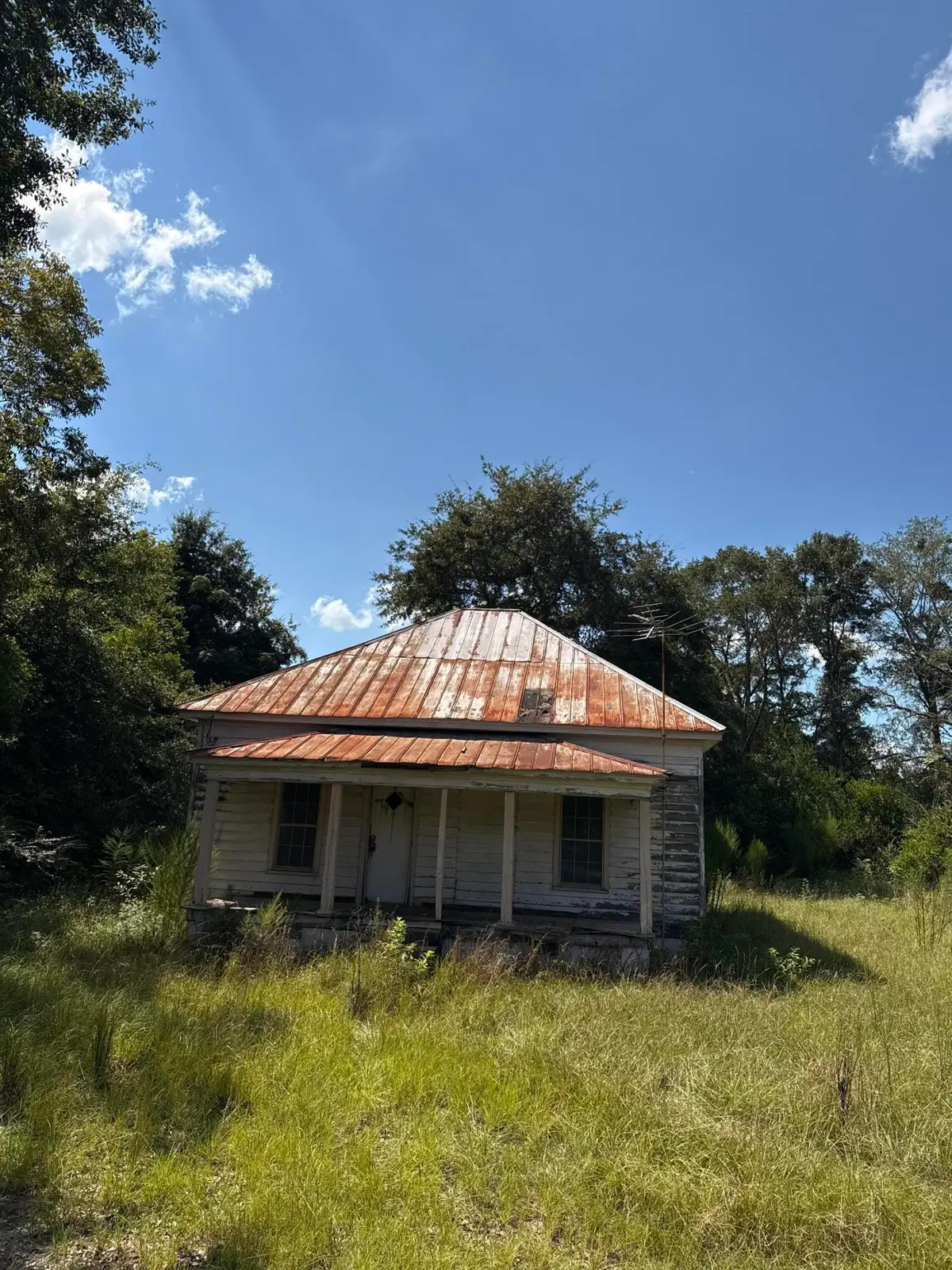 14666 Low Country Highway, Olar, SC 29843 - #1