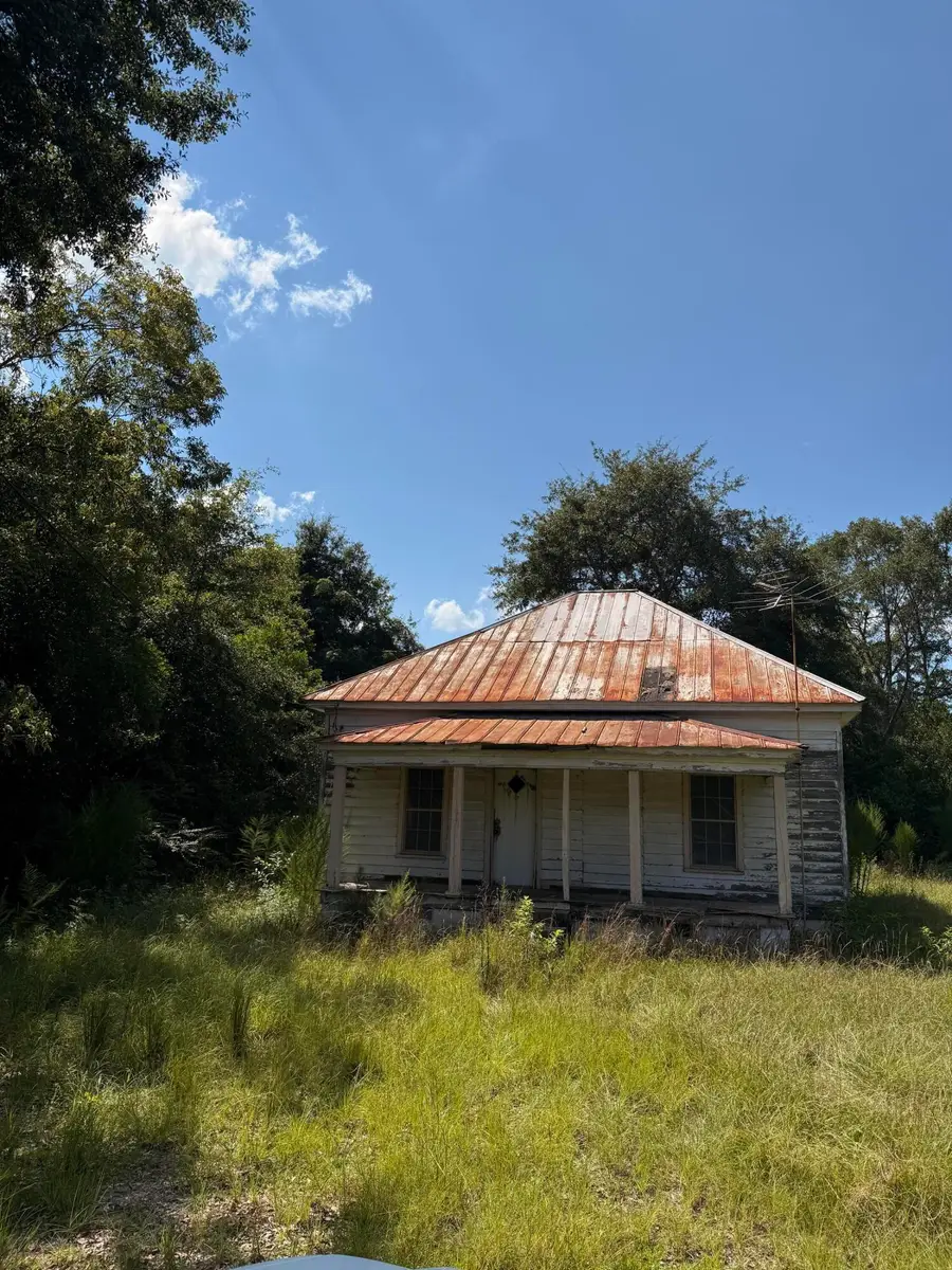 14666 Low Country Highway, Olar, SC 29843 - #2