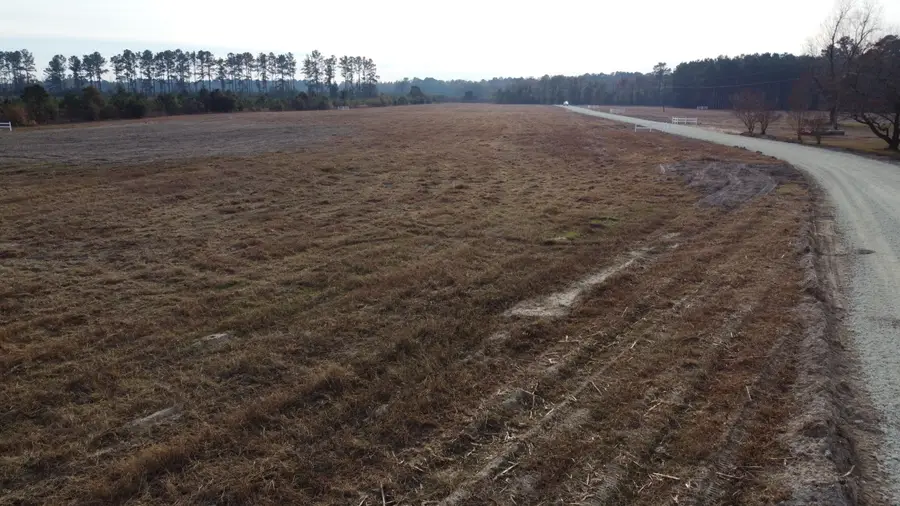 149 Rambling Ln, Cross, SC 29436 - #2