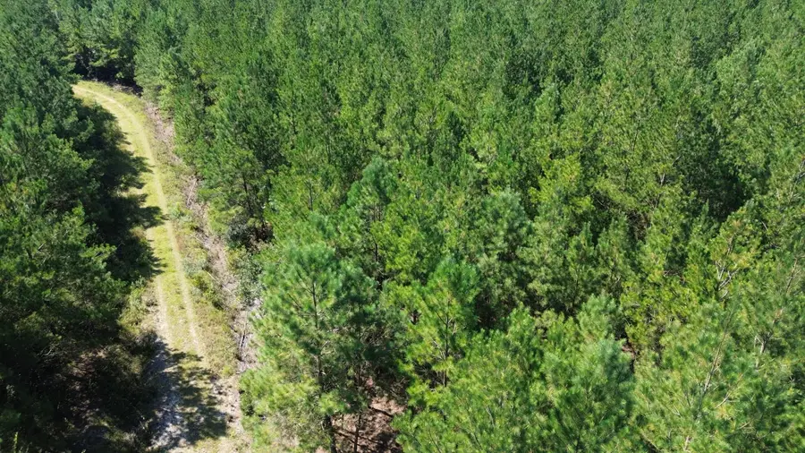 15 Red Oak Road, Cottageville, SC 29435 - #2