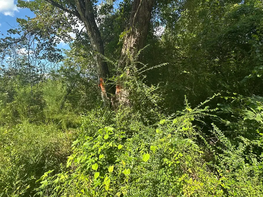 000 Beason Road, Orangeburg, SC 29115 - Image #2