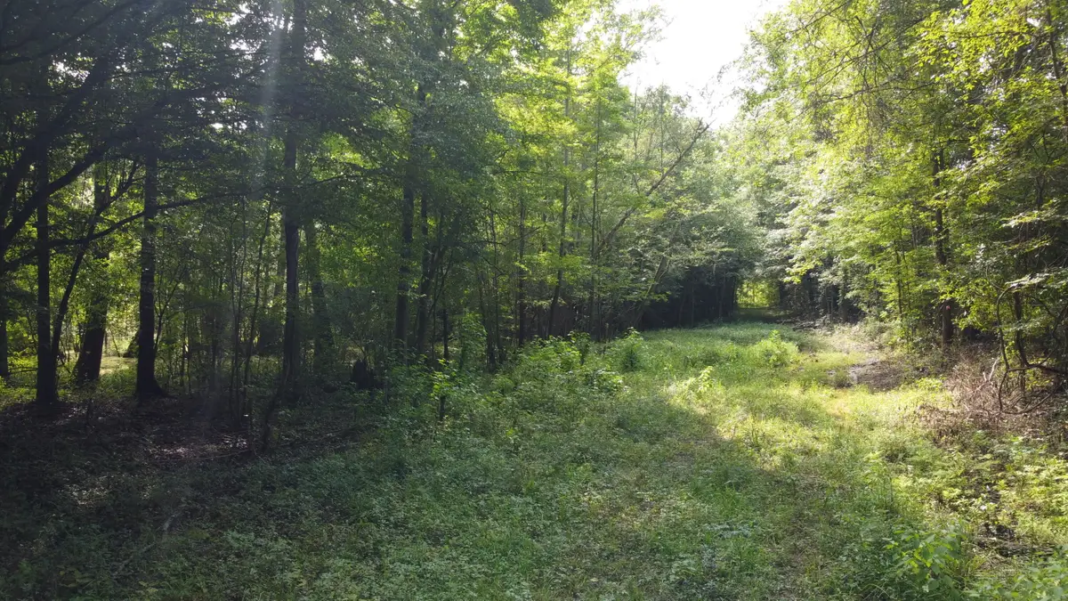 0 Fivel Road, Ridgeville, SC 29472 - #1