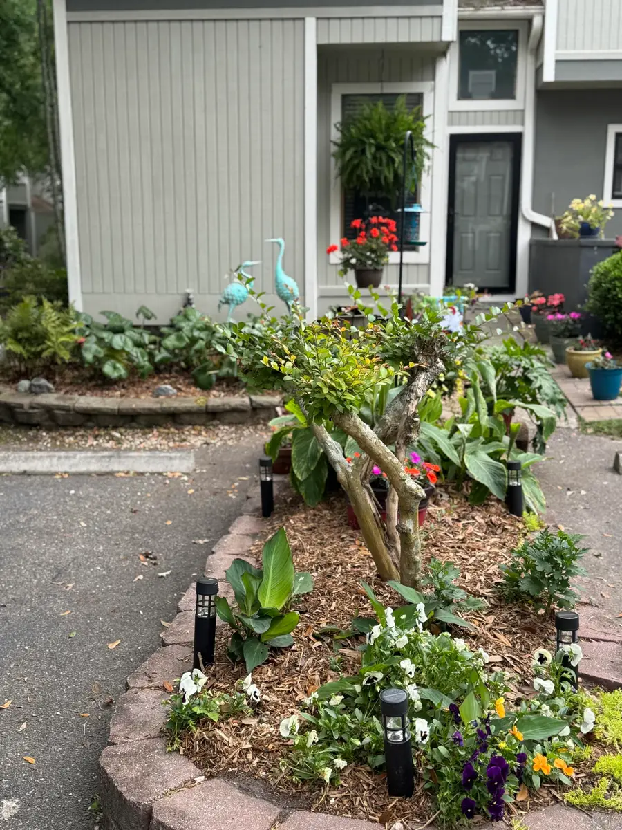 2757 Jobee Drive #1101, Charleston, SC 29414 - Image #2