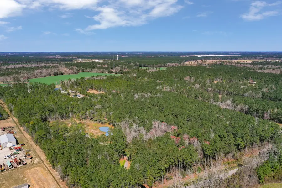 00 Myers Mayo Lot 4 Road, Ridgeville, SC 29472 - #3