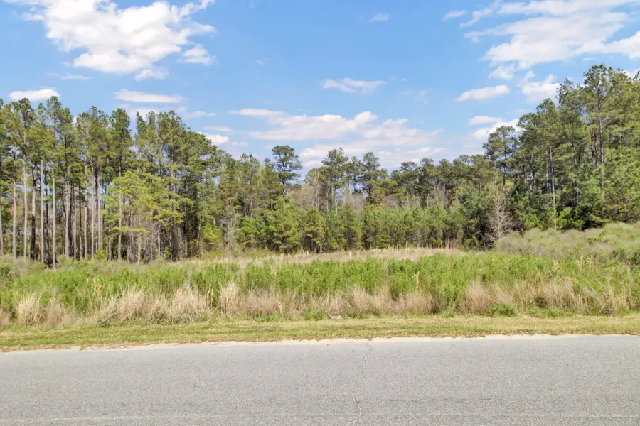 1319 Wood Sorrel Drive, Moncks Corner, SC 29461 - Image #3