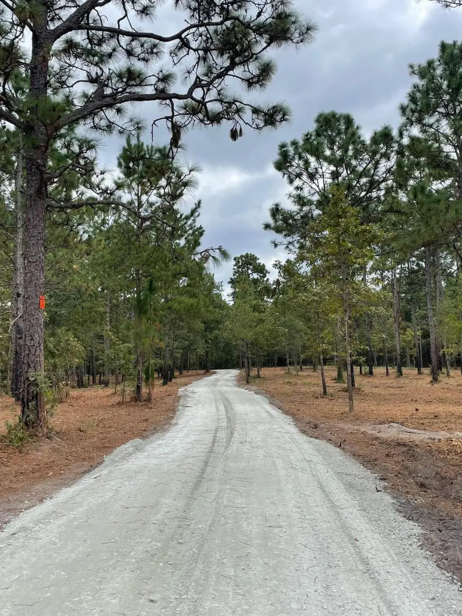 0 Hwy 45, Cross, SC 29436 - #3