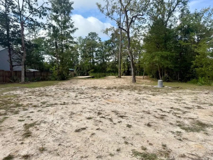 Lot #118 Prices Bridge Lane, Walterboro, SC 29488 - Image #2