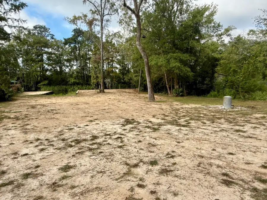 Lot #118 Prices Bridge Lane, Walterboro, SC 29488 - Image #3